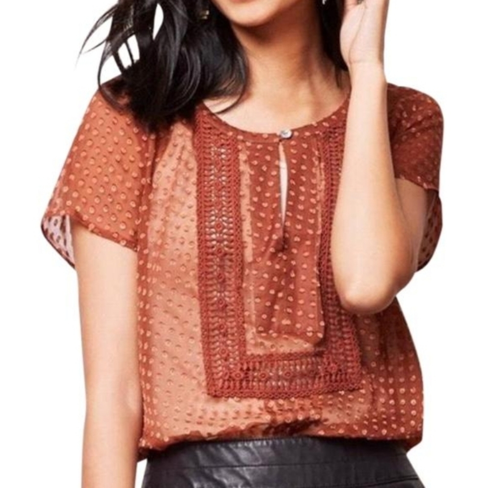 Meadow Rue Orange Brown Mesh Lacey Chiffon Top